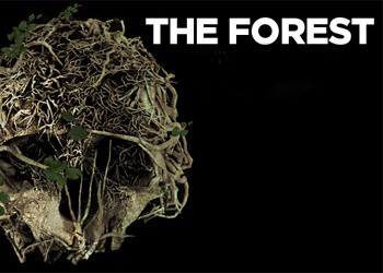   The Forest +16