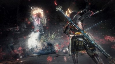   Nioh 2  The Complete Edition (100% save)