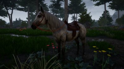   Horse Riding Deluxe 2