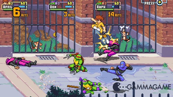   Teenage Mutant Ninja Turtles: Shredders Revenge  FliNG