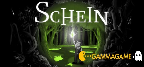   Schein