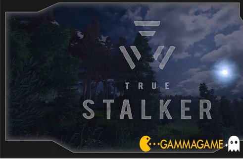   True Stalker -  -      GAMMAGAMES.RU