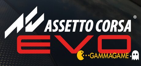   Assetto Corsa EVO ()